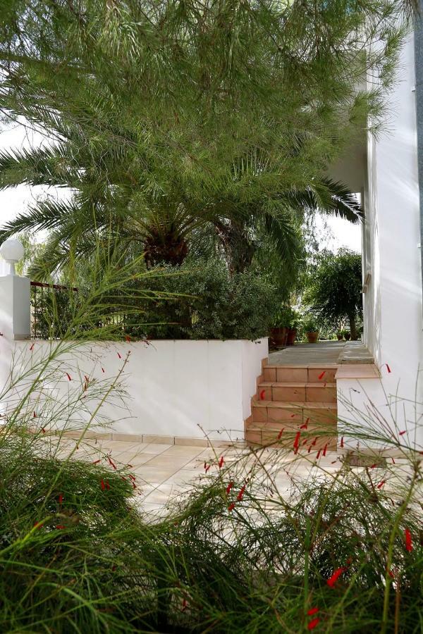 Sunny Garden Studio Hotel Nicosia Exterior photo